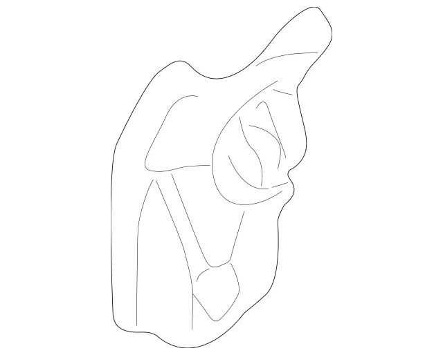 2205460143 - Brakes: Bracket for Mercedes-Benz Image