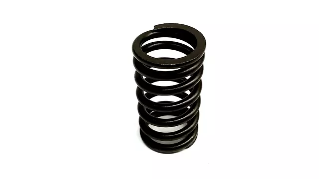 13217AA251 - Engine: Valve Springs for Subaru: Baja, Forester, Impreza, Legacy, Outback Image