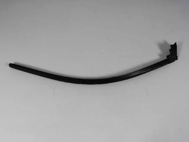Front Door Belt Weatherstrip, Left - Mopar (4575885AF)