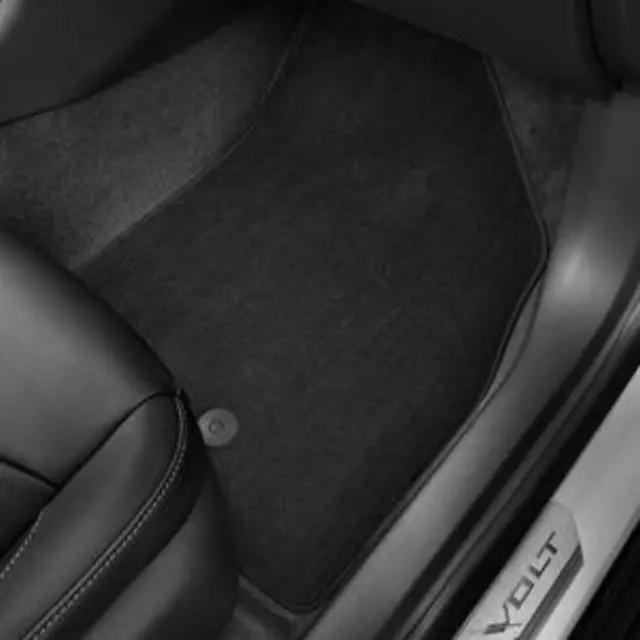 Floor Mats, Carpet - GM (84544063)