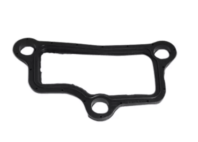 10211661 - : Center Intake Manifold Gasket for Chevrolet: Express 2500, Express 3500 | GMC: Savana 2500, Savana 3500 Image
