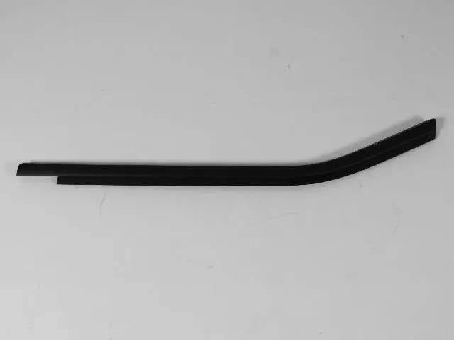 Rear Door Belt Weatherstrip, Left - Mopar (4806141AB)