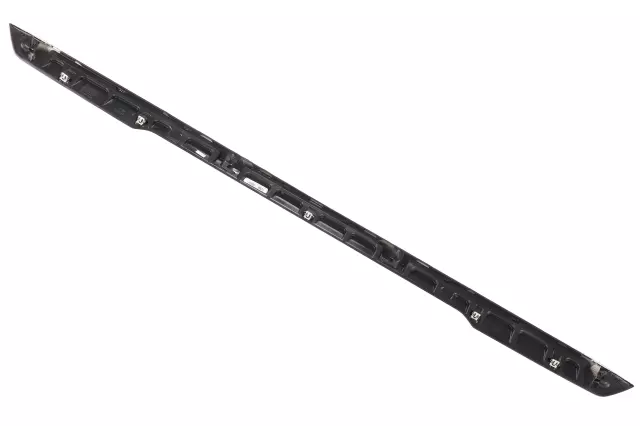 Molding - GM (84820432)