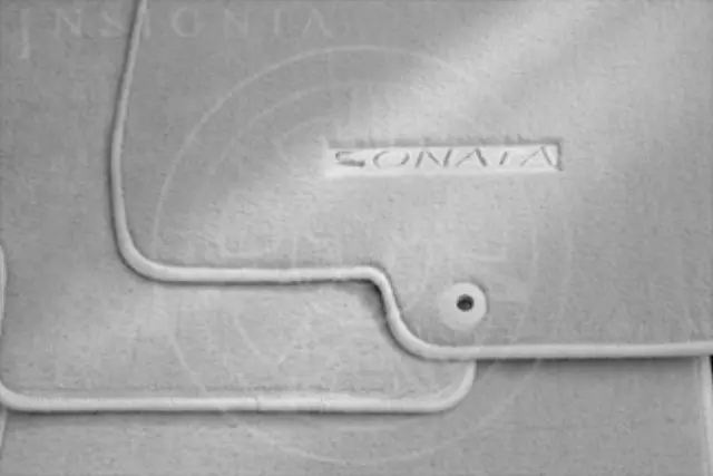 81403K011PL - Interior: Floor Mats, Carpet for Hyundai Image