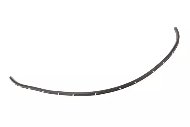 Front Seal - GM (84267623)