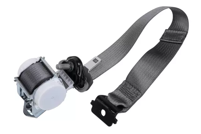 19330739 - Electrical: Outer Belt Assembly for Cadillac: Escalade | Chevrolet: Tahoe | GMC: Yukon Image