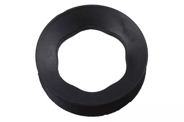 23119940 - Steering: Pitman Shaft Seal for GM Image