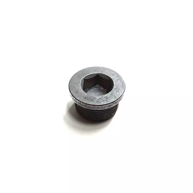 1V321376 - : Drain Plug for Volkswagen: Passat, Phaeton Image