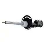 AST806116 - Suspension: Motorcraftâ„¢ Strut for Lincoln: Corsair Image