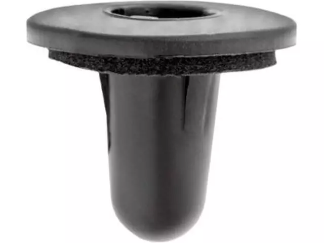 Tail Lamp Retainer - Ford (-W718369-S300)