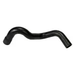 61569 - : Coolant Hose for Continental Image