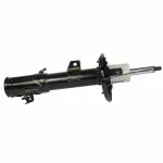 AST84839 - : Motorcraft™ Strut for Ford: EcoSport Image