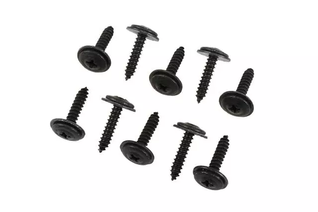 10293818 - Body: Fender Liner Bolt for GM Image