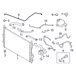 LK4Z8075D - : Overflow Hose for Ford: Transit-150, Transit-250, Transit-350, Transit-350 HD Image