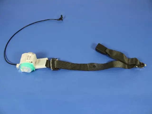 1BY48XDVAB - Electrical: Center Belt Assembly for Dodge: Magnum Image