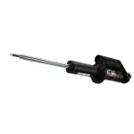 ASH8666389 - Suspension: Motorcraftâ„¢ Suspension Shock Absorber for Ford: Bronco Image