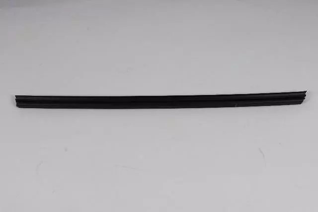 Front Door Belt Inner Weatherstrip, Right - Mopar (5076874AC)