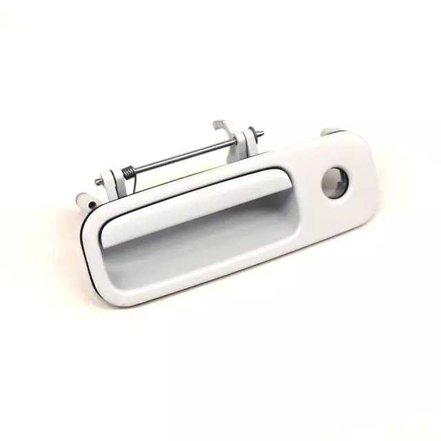 1J6827565BGRU - Body: Handle for Volkswagen: Golf Image