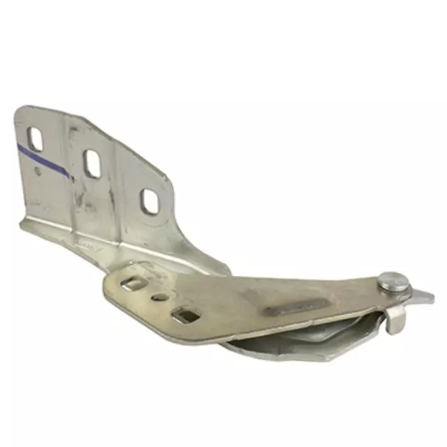 Hinge - Ford (DP5Z16796A)