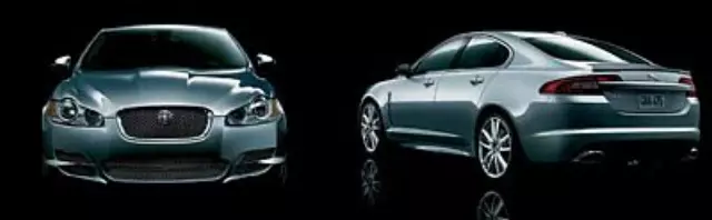 C2Z10212 - : Sculpted Chrome Blade Kit for Jaguar Accessories Image