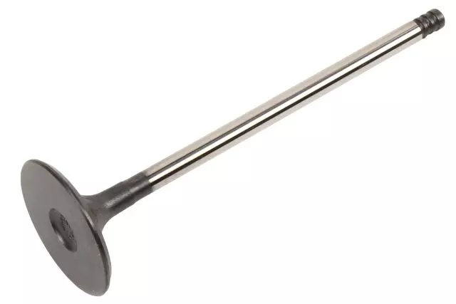 Engine Intake Valve - GM (55568126)