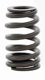 ERV3598 - : Engine Valve Spring for Enginetech Image