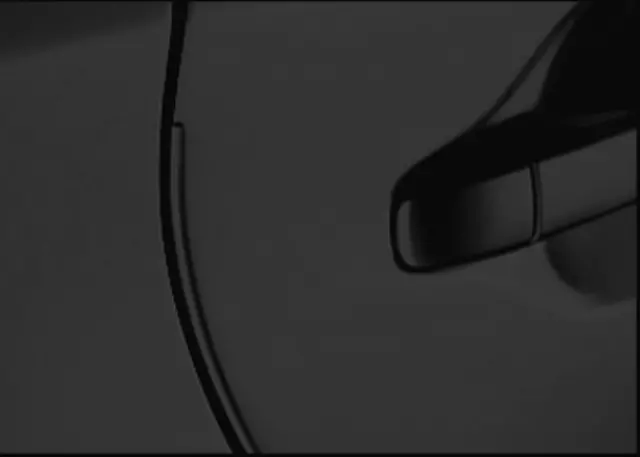 PT9365212002 - Exterior: 2015-2019 Toyota - Door Edge Guards, Black Sand Pearl for Toyota: Prius, Prius C Image