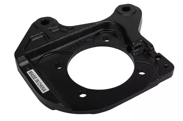 Disc Brake Caliper Mounting Plate - GM (20934762)