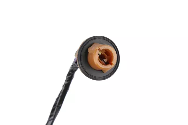 25809079 - : Socket &amp; Wire for GM Image