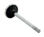 V1685 - : Engine Exhaust Valve for Enginetech Image