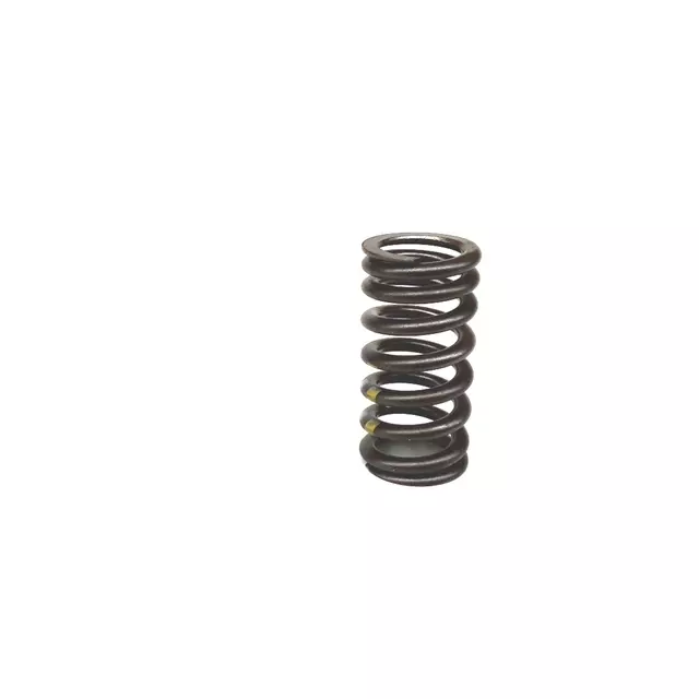 6E109623AB - Engine: Valve Springs for Volkswagen Image