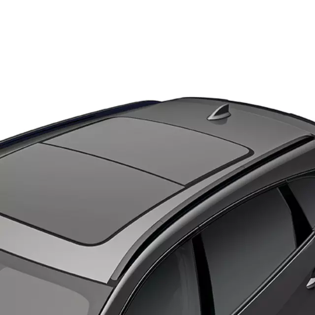 Roof Rails (Black) - Acura (08L02-TJB-200A)