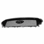 DG1Z8200DC - Body: Grille for FORD Image
